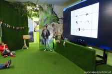 gallery1