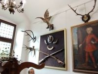 gallery1