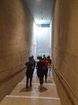 gallery1