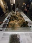 gallery1