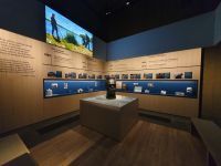 gallery1