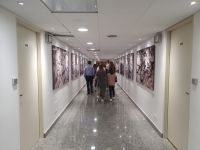 gallery1