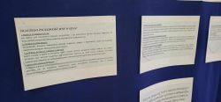 gallery1