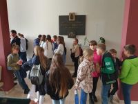 gallery1
