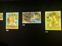 gallery1