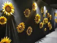 gallery1
