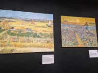 gallery1