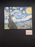 gallery1