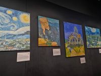gallery1