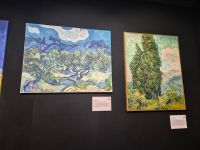 gallery1