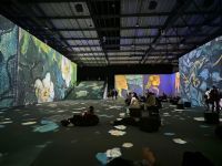 gallery1