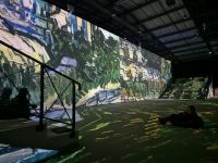 gallery1