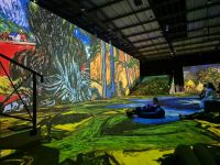 gallery1