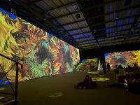 gallery1