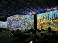 gallery1
