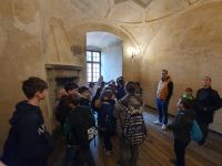 gallery1