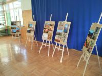 gallery1