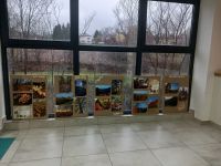 gallery1