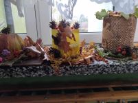 gallery1